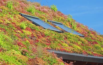 Walker Barn living roof systems