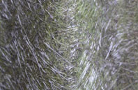 Walker Barn fibreglass roof work